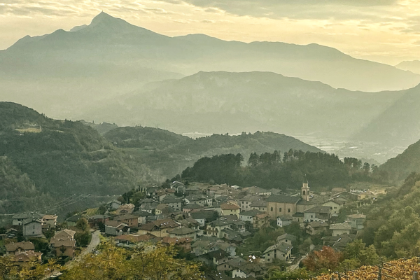 sportelli sul territorio