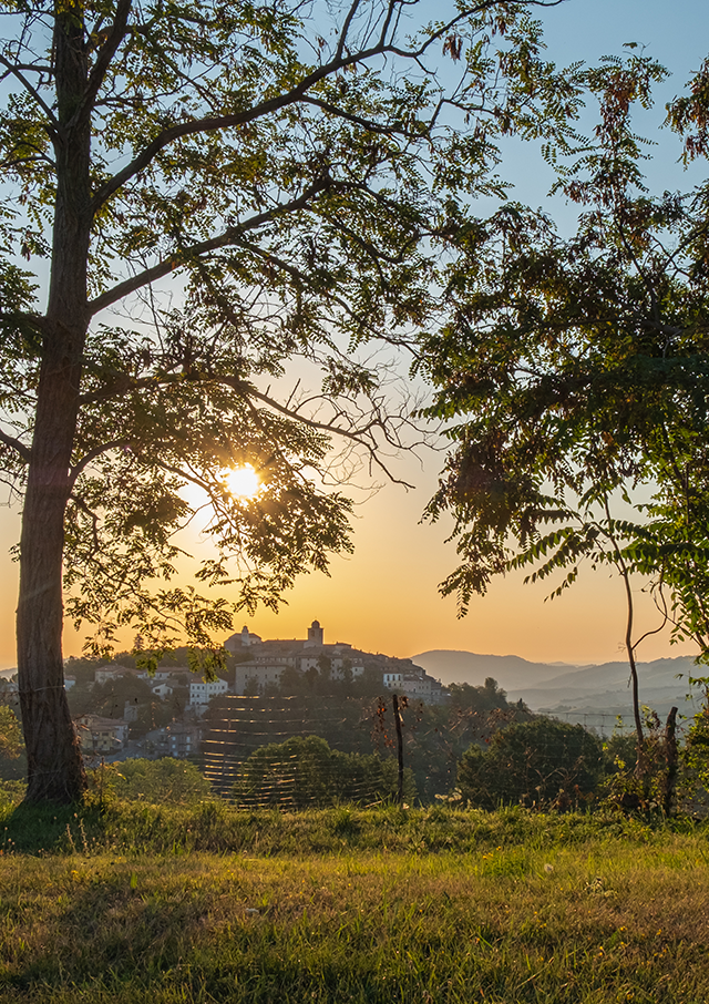 Montegreenmano
