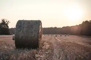 confcommercio trentino