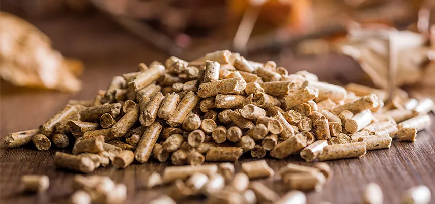 mucchietto di pellet